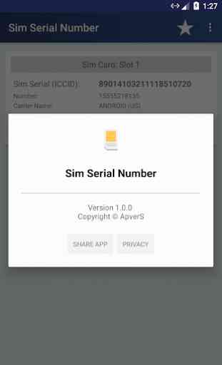 SIM Serial Number 2