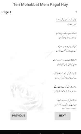 Teri mohabbat mein pagal huy Urdu novel 3