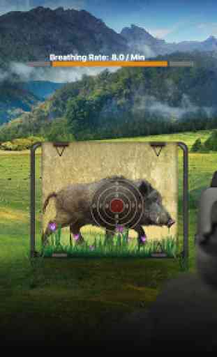 Wild Boar Target Shooting 4