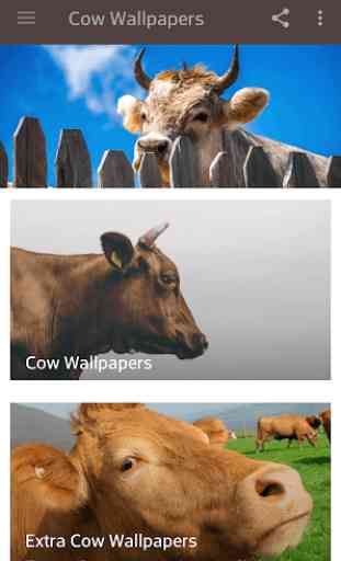 imagenes de vacas 1