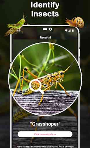 Insect Identifier : Insect ID, AI Photo Camera 1