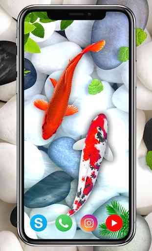 Koi Fish Live Wallpaper: Nuevo fondo de pantalla 1