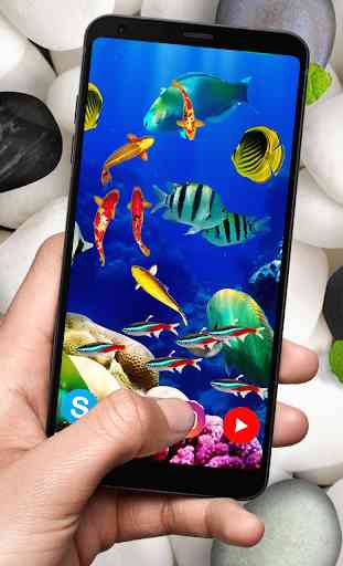 Koi Fish Live Wallpaper: Nuevo fondo de pantalla 3