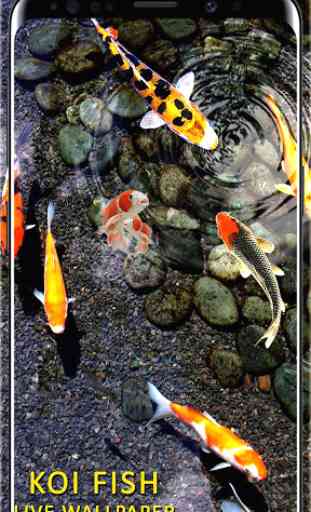 peces koi live wallpaper - fondos de peces hd 2