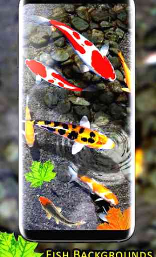 peces koi live wallpaper - fondos de peces hd 4