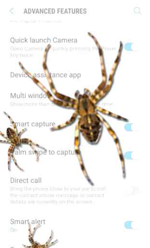 Spider on screen - prank 1