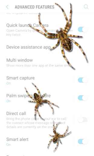Spider on screen - prank 3