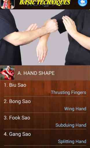 Wing Chun Kung Fu 2