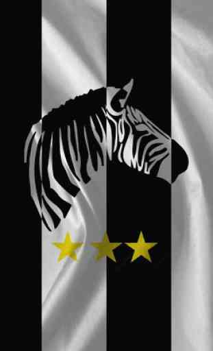 Zebrefan - Juve News 1
