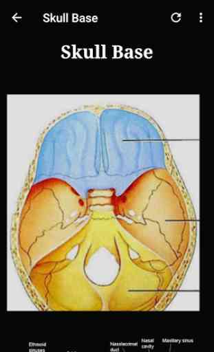Atlas of CT Anatomy 2