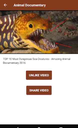 Documentales Animales Online  2