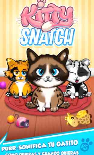 Kitty Snatch Iguala 3 gato-estrellas de Instagram 2