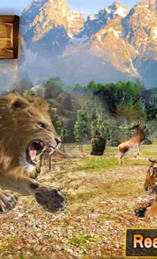 León vs tigre 2 aventura salvaje 1