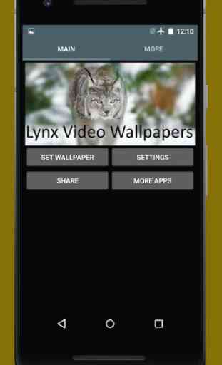 Lynx Video Live Wallpaper 3