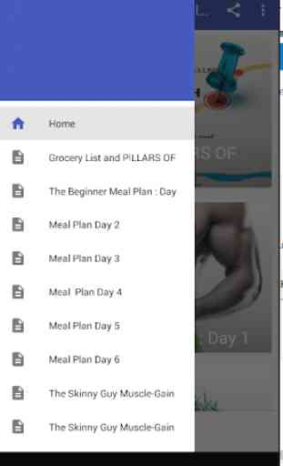Meal Plans For Bodybuilders 1