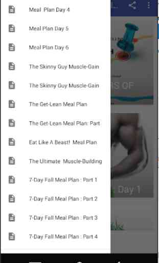 Meal Plans For Bodybuilders 2