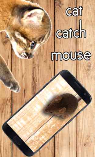 Mouse for Cats Simulator 3