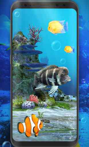 Aquarium Clown Fish Live Wallpaper 2019 1