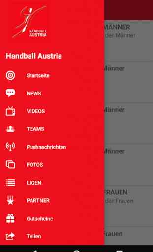 Handball Austria 2