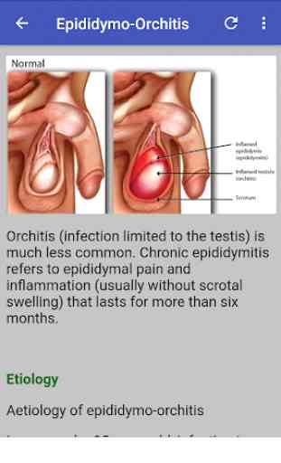 Obstetrics & Gynaecology 3