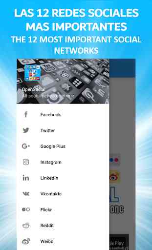 OpenSocial - App con 12 Redes Sociales 2