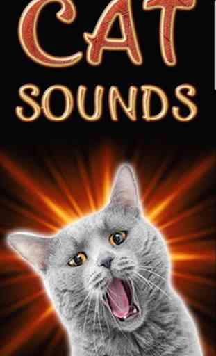 Sonidos de gatos 2