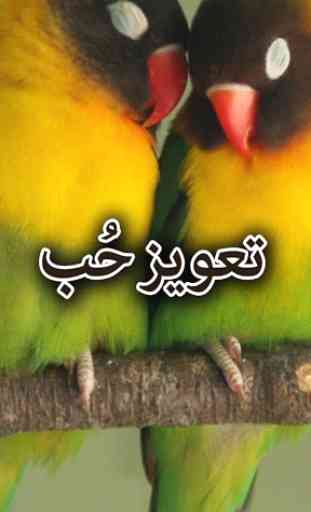 Taweez e Hub by Aimal Raza - Urdu Novel Offline 1