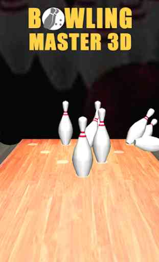 Bowling Master 3D 1