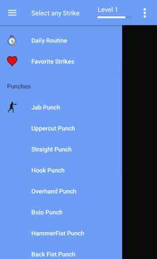 Boxing Training - Offline Videos 1