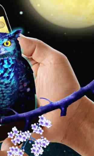 Tema de Blue Night Owl 2