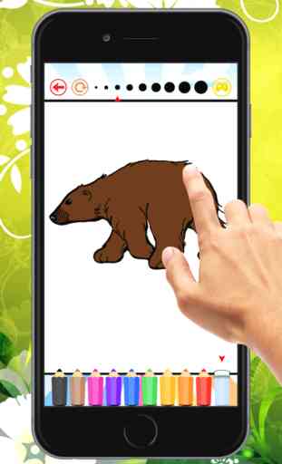 Oso de panda para colorear libro: Aprende a colorear un Panda, Koala y oso polar, juegos para niños 4