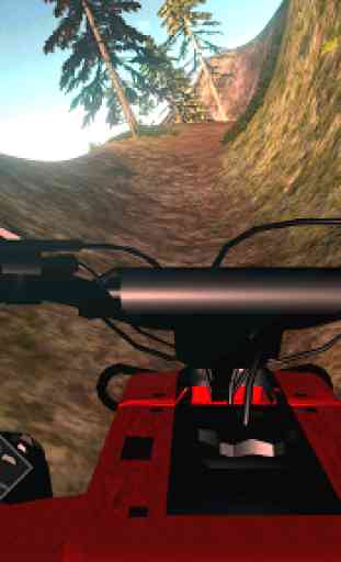 ATV Downhill Rider 1