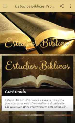 Estudios Bíblicos Profundos 2