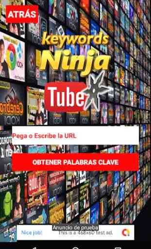 NinjaTube Keywords YouTube SEO Tool 2