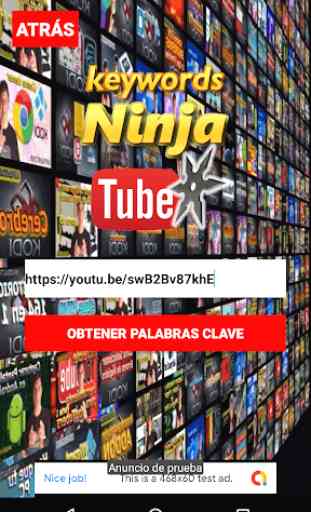 NinjaTube Keywords YouTube SEO Tool 4
