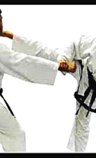 Aprende Taekwondo, artes marciales, autodefensa 1