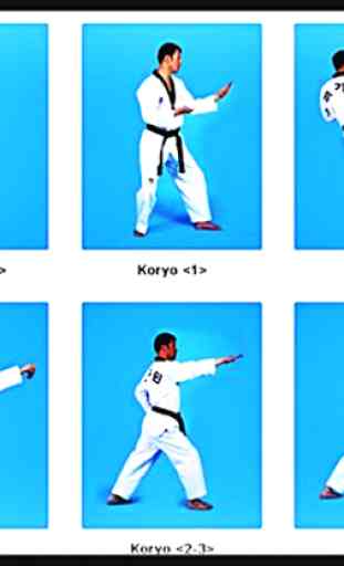 Aprende Taekwondo, artes marciales, autodefensa 2