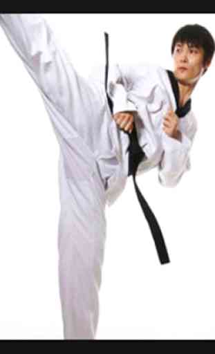 Aprende Taekwondo, artes marciales, autodefensa 3