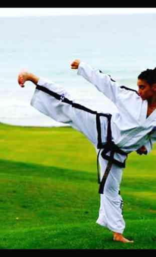 Aprende Taekwondo, artes marciales, autodefensa 4