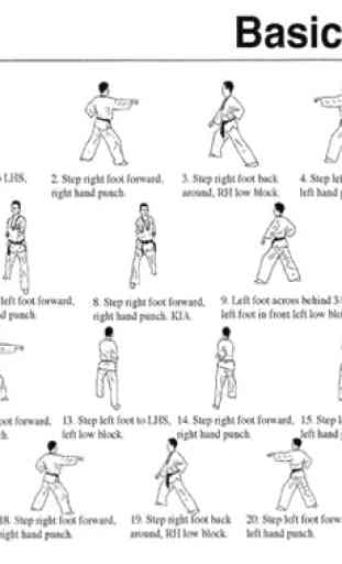 Aprende técnicas de taekwondo fácilmente. 1