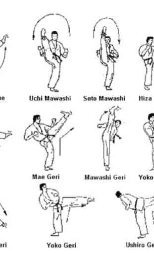 Aprendiendo el Movimiento Básico de Taekwondo 2
