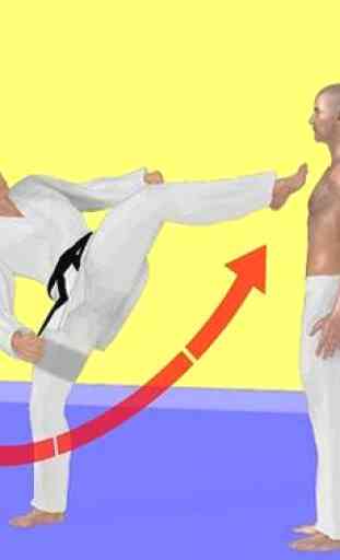 Aprendizaje rápido de Taekwondo 4