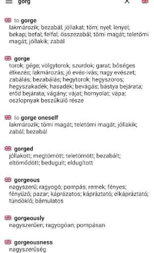 Hungarian Dictionary  1