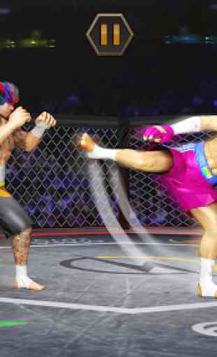Kárate Lucha Kung Fu Combatiente Tigre MMA Lucha 2