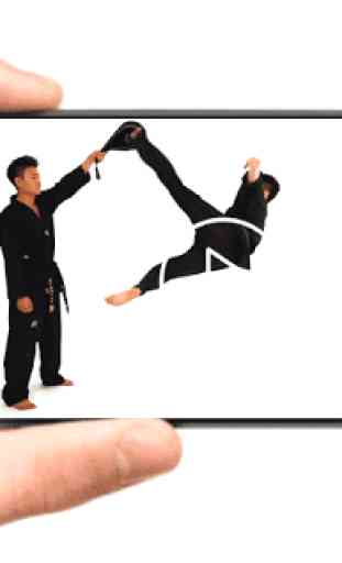 Las técnicas de Taekwondo 2