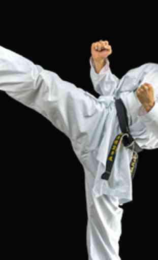 Learn Taekwondo 2