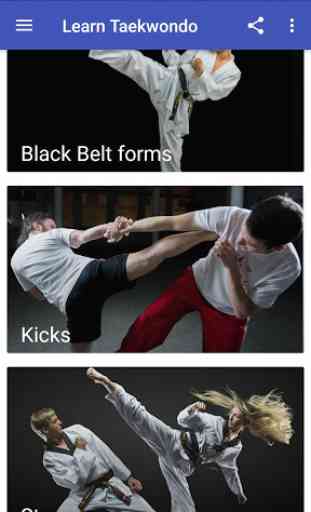 Learn Taekwondo 3