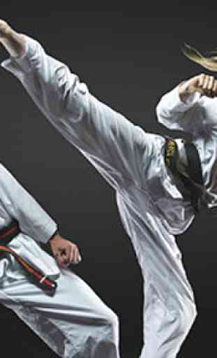 Learn Taekwondo 4