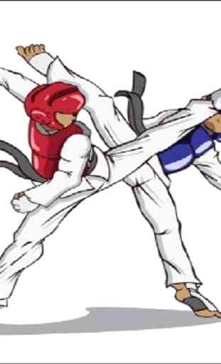 Movimiento de taekwondo 3