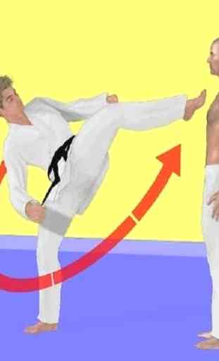 Movimiento de taekwondo 4
